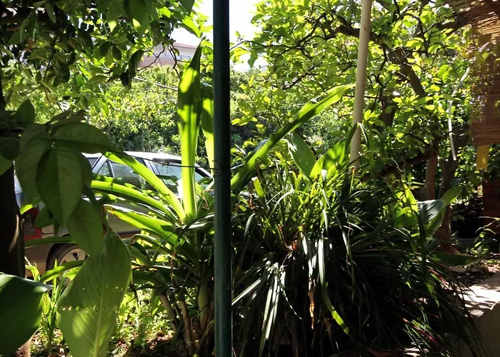 4602c * Jelsa (Hvar)